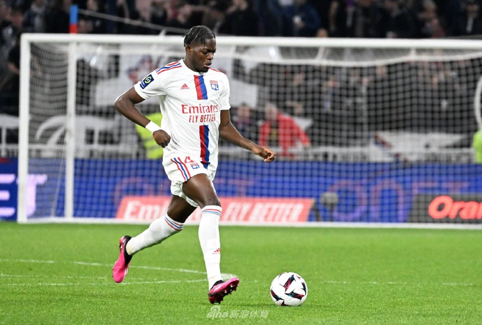 老鹰的后场 老鹰的后场